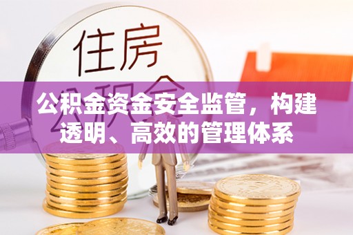 礼泉公积金资金安全监管，构建透明、高效的管理体系