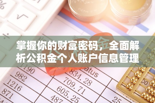 礼泉掌握你的财富密码，全面解析公积金个人账户信息管理与优化