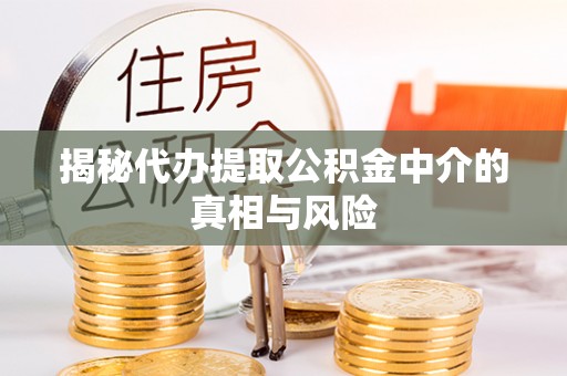 礼泉揭秘代办提取公积金中介的真相与风险