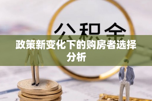 礼泉政策新变化下的购房者选择分析