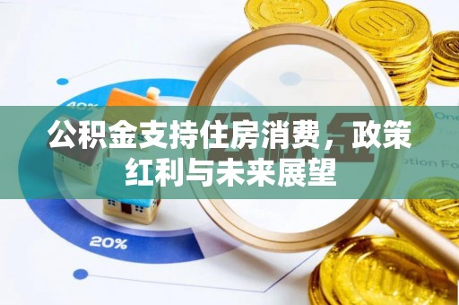 礼泉公积金支持住房消费，政策红利与未来展望