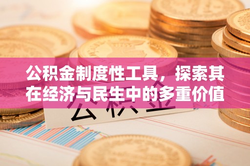 礼泉公积金制度性工具，探索其在经济与民生中的多重价值