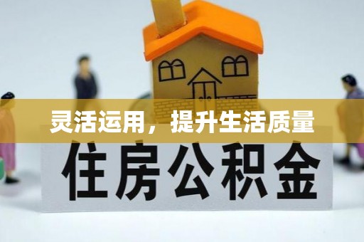 礼泉灵活运用，提升生活质量