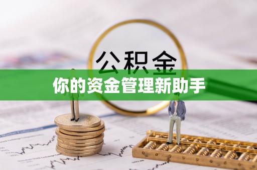 礼泉你的资金管理新助手