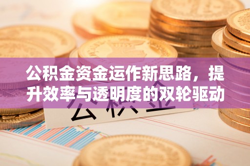 礼泉公积金资金运作新思路，提升效率与透明度的双轮驱动
