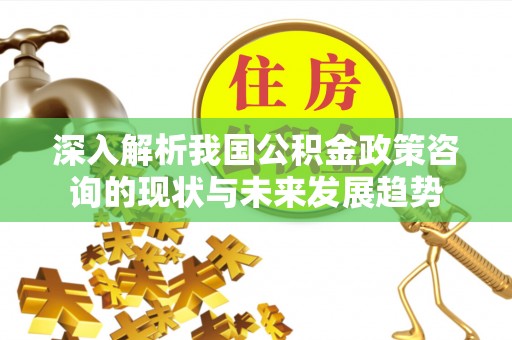 礼泉深入解析我国公积金政策咨询的现状与未来发展趋势