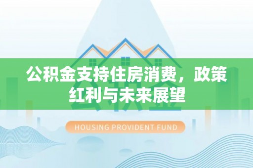 礼泉公积金支持住房消费，政策红利与未来展望