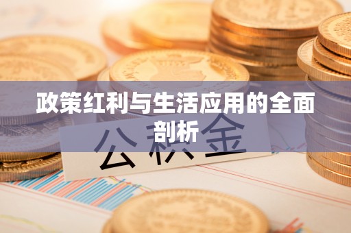 礼泉政策红利与生活应用的全面剖析