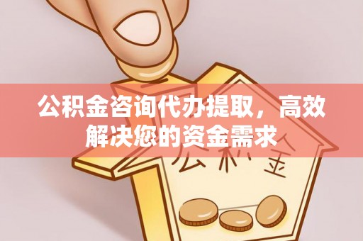 礼泉公积金咨询代办提取，高效解决您的资金需求