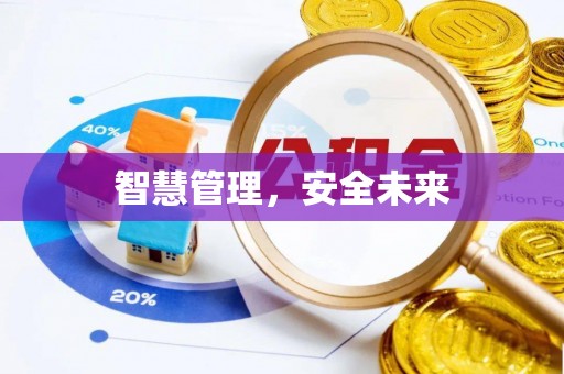 礼泉智慧管理，安全未来