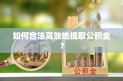礼泉如何合法高效地提取公积金？
