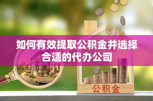礼泉如何有效提取公积金并选择合适的代办公司