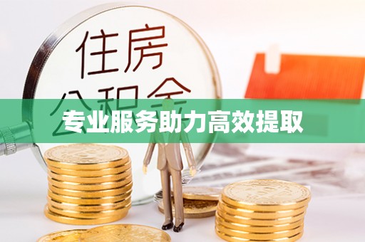 礼泉专业服务助力高效提取