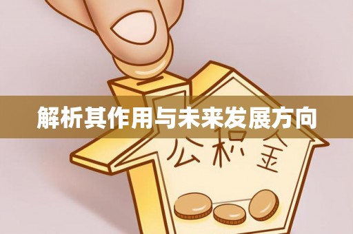 礼泉解析其作用与未来发展方向