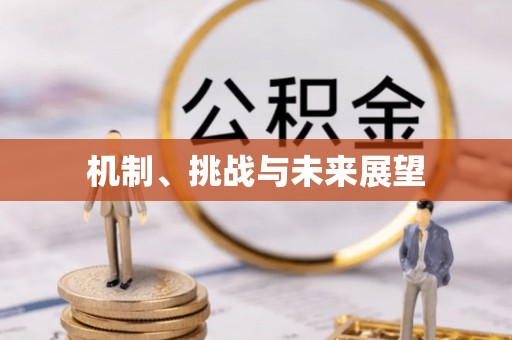 礼泉机制、挑战与未来展望