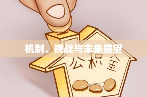 礼泉机制、挑战与未来展望