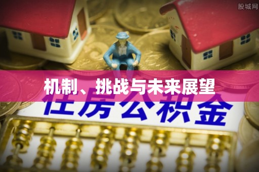 礼泉机制、挑战与未来展望